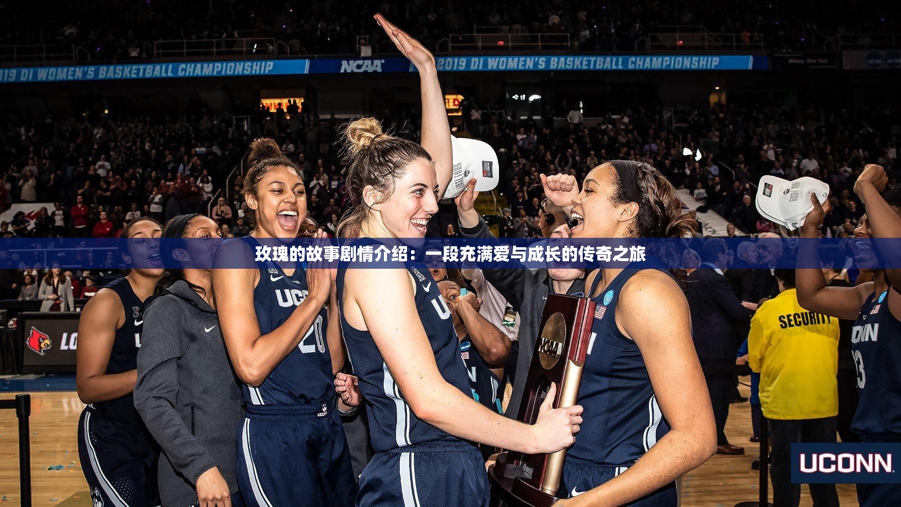 玫瑰的故事剧情介绍：一段充满爱与成长的传奇之旅