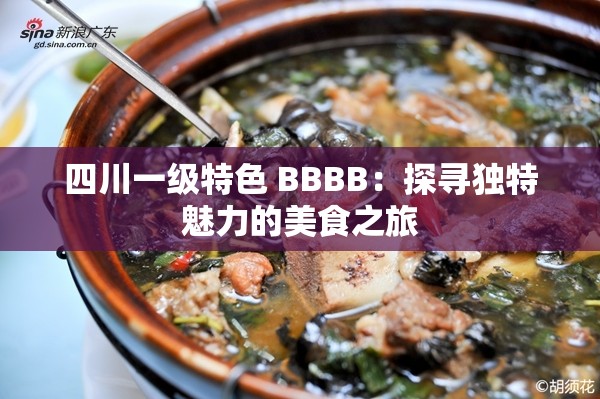 四川一级特色 BBBB：探寻独特魅力的美食之旅