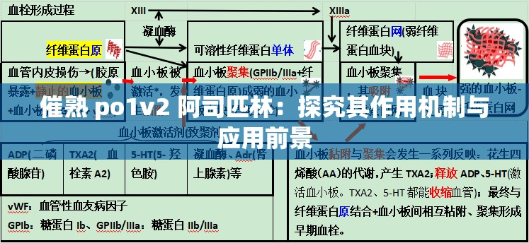 催熟 po1v2 阿司匹林：探究其作用机制与应用前景