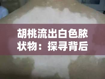 胡桃流出白色脓状物：探寻背后的原因与应对之策