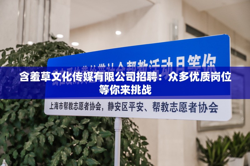 含羞草文化传媒有限公司招聘：众多优质岗位等你来挑战