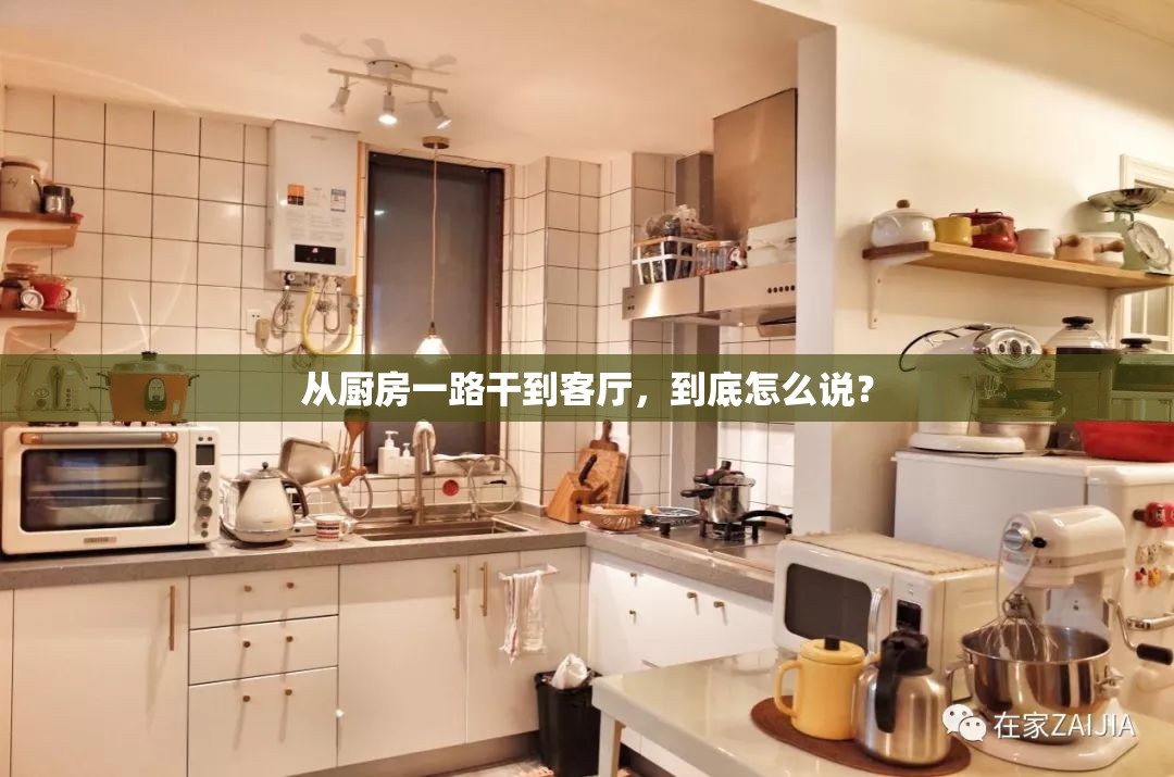从厨房一路干到客厅，到底怎么说？