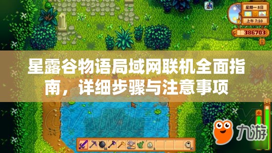 星露谷物语局域网联机全面指南，详细步骤与注意事项