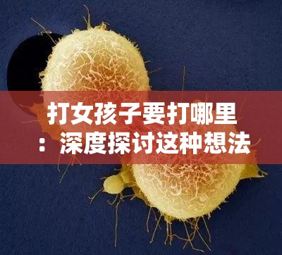 打女孩子要打哪里：深度探讨这种想法的错误性与危害