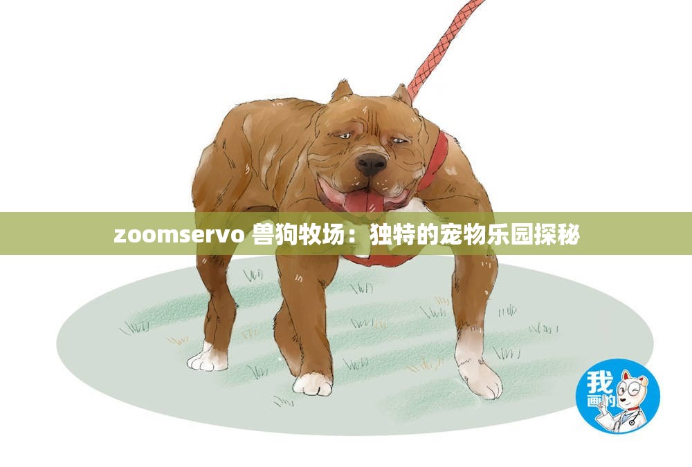 zoomservo 兽狗牧场：独特的宠物乐园探秘