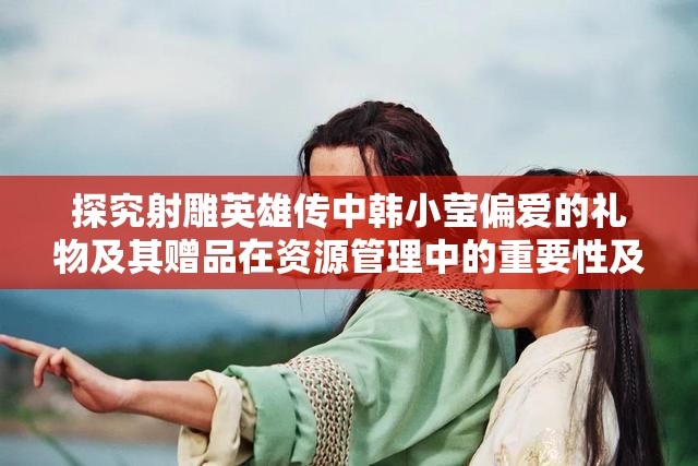探究射雕英雄传中韩小莹偏爱的礼物及其赠品在资源管理中的重要性及高效策略