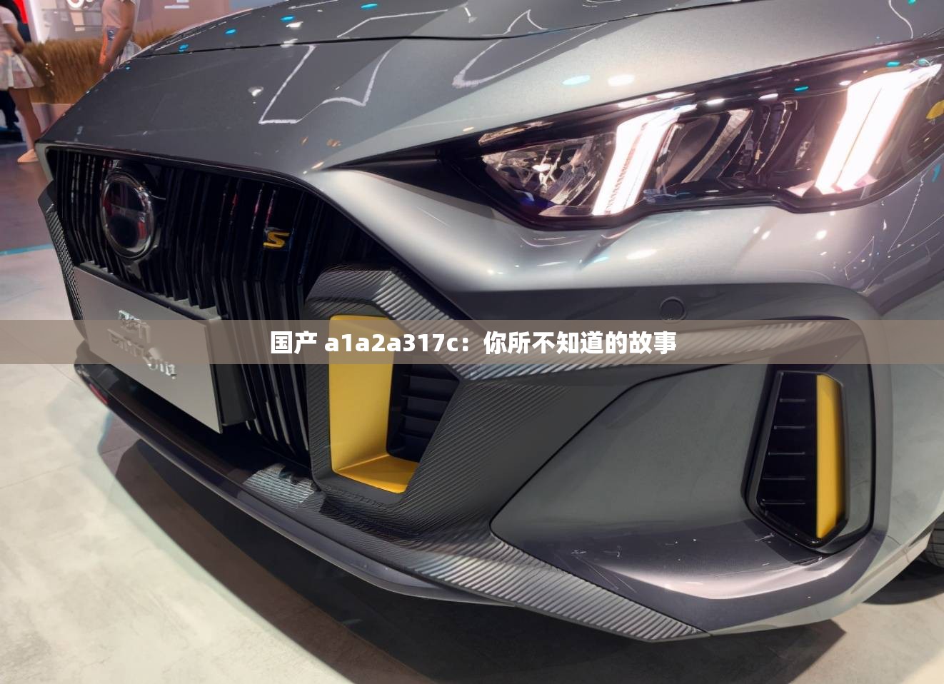 国产 a1a2a317c：你所不知道的故事