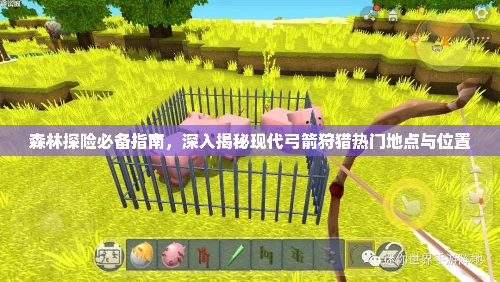 森林探险必备指南，深入揭秘现代弓箭狩猎热门地点与位置