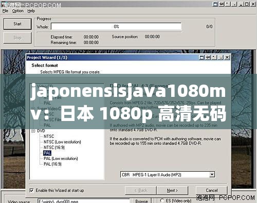 japonensisjava1080mv：日本 1080p 高清无码大片