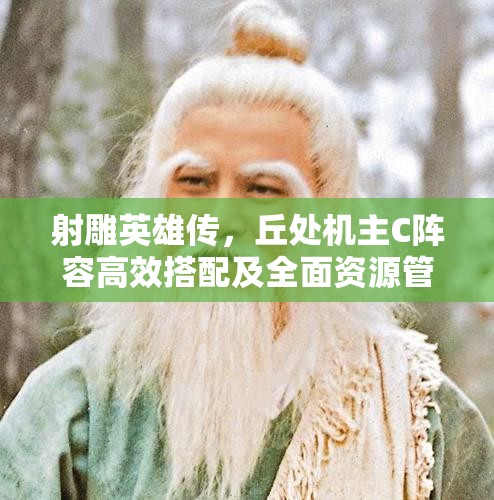 射雕英雄传，丘处机主C阵容高效搭配及全面资源管理策略指南