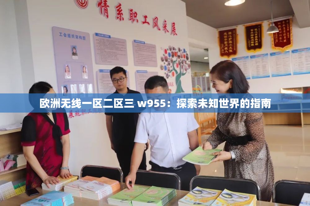 欧洲无线一区二区三 w955：探索未知世界的指南