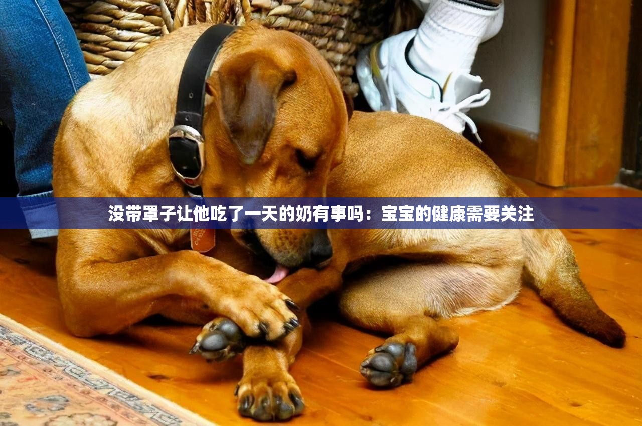 没带罩子让他吃了一天的奶有事吗：宝宝的健康需要关注