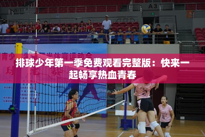 排球少年第一季免费观看完整版：快来一起畅享热血青春