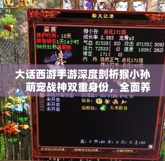 大话西游手游深度剖析猴小孙，萌宠战神双重身份，全面养成攻略大揭秘！