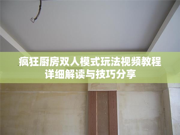 疯狂厨房双人模式玩法视频教程详细解读与技巧分享
