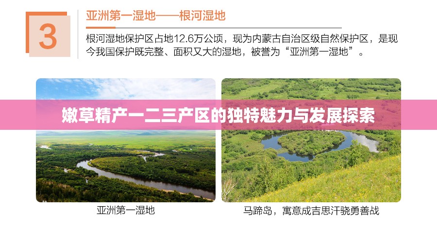 嫩草精产一二三产区的独特魅力与发展探索
