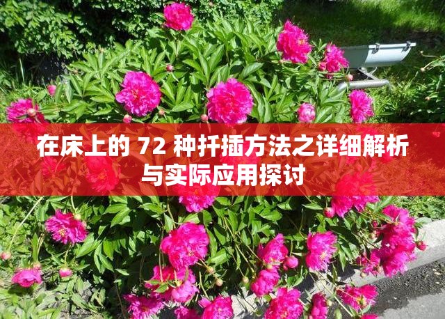在床上的 72 种扦插方法之详细解析与实际应用探讨