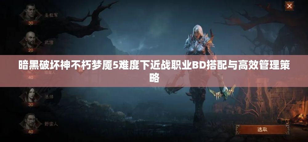 暗黑破坏神不朽梦魇5难度下近战职业BD搭配与高效管理策略