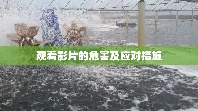 观看影片的危害及应对措施