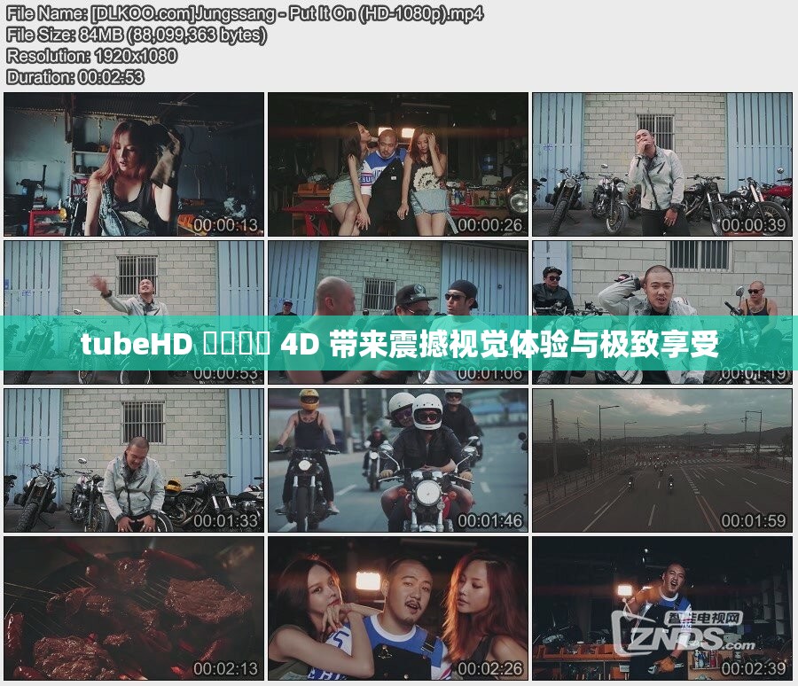 tubeHD 馃憴馃憴 4D 带来震撼视觉体验与极致享受