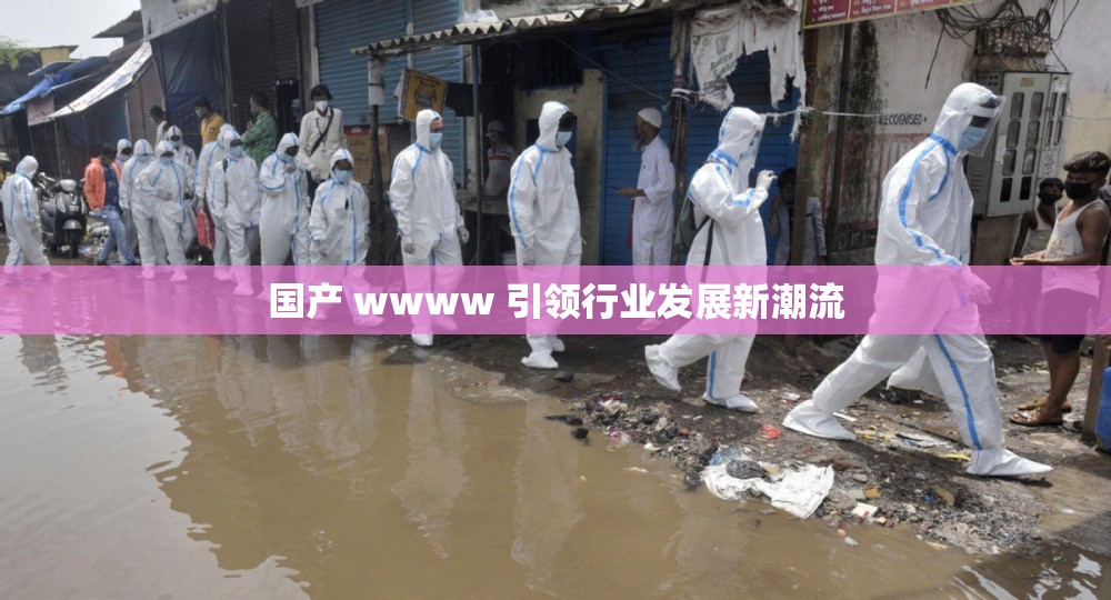 国产 wwww 引领行业发展新潮流