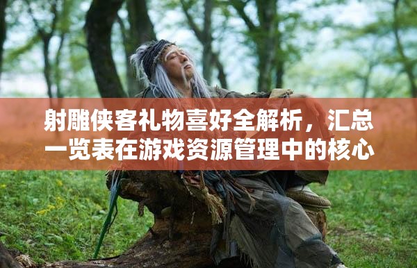 射雕侠客礼物喜好全解析，汇总一览表在游戏资源管理中的核心价值与高效策略