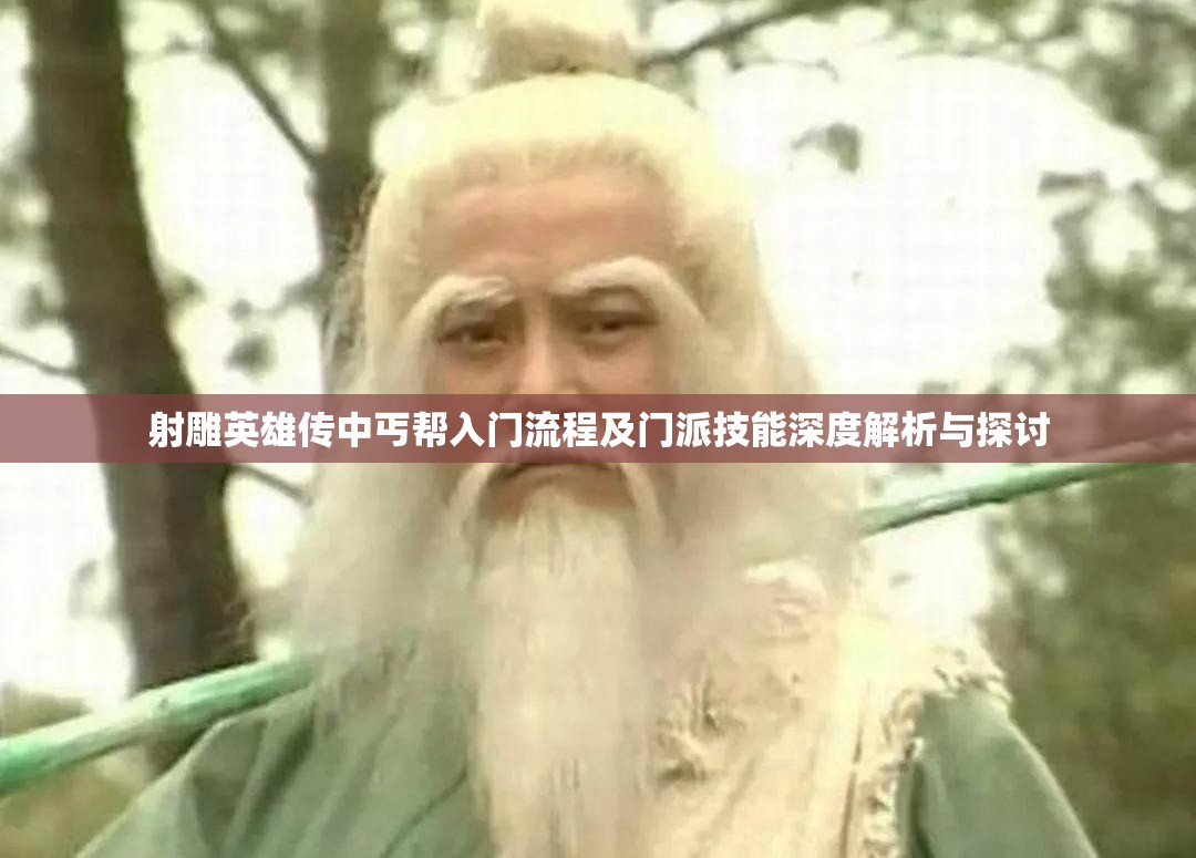 射雕英雄传中丐帮入门流程及门派技能深度解析与探讨