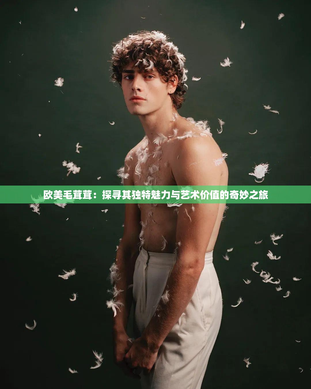 欧美毛茸茸：探寻其独特魅力与艺术价值的奇妙之旅