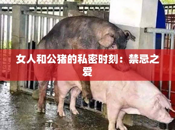 女人和公猪的私密时刻：禁忌之爱