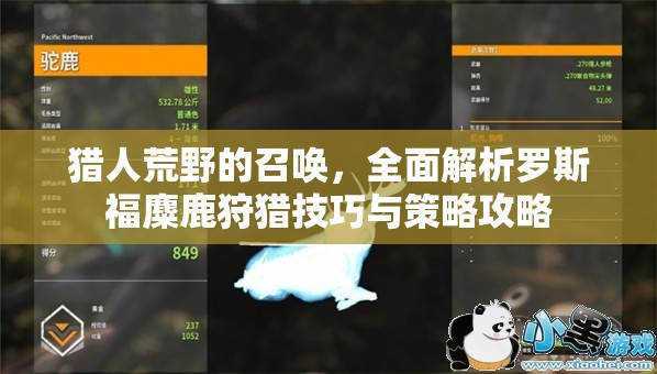 猎人荒野的召唤，全面解析罗斯福麋鹿狩猎技巧与策略攻略
