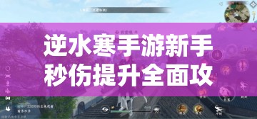 逆水寒手游新手秒伤提升全面攻略，助你实现从菜鸟到高手的华丽蜕变