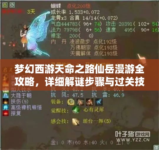 梦幻西游天命之路仙岳漫游全攻略，详细解谜步骤与过关技巧全解析