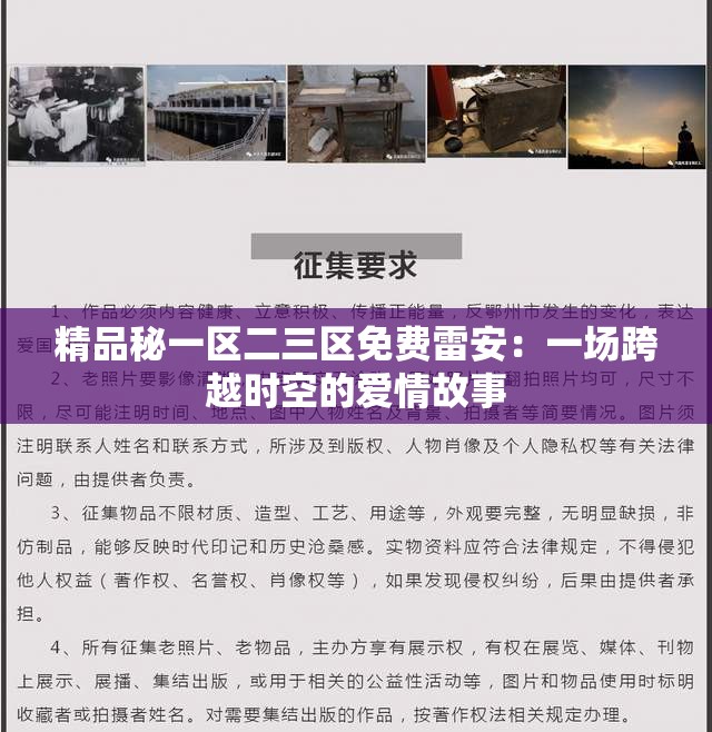 精品秘一区二三区免费雷安：一场跨越时空的爱情故事