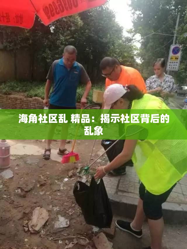 海角社区乱 精品：揭示社区背后的乱象