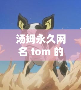 汤姆永久网名 tom 的奇妙冒险：勇闯天涯
