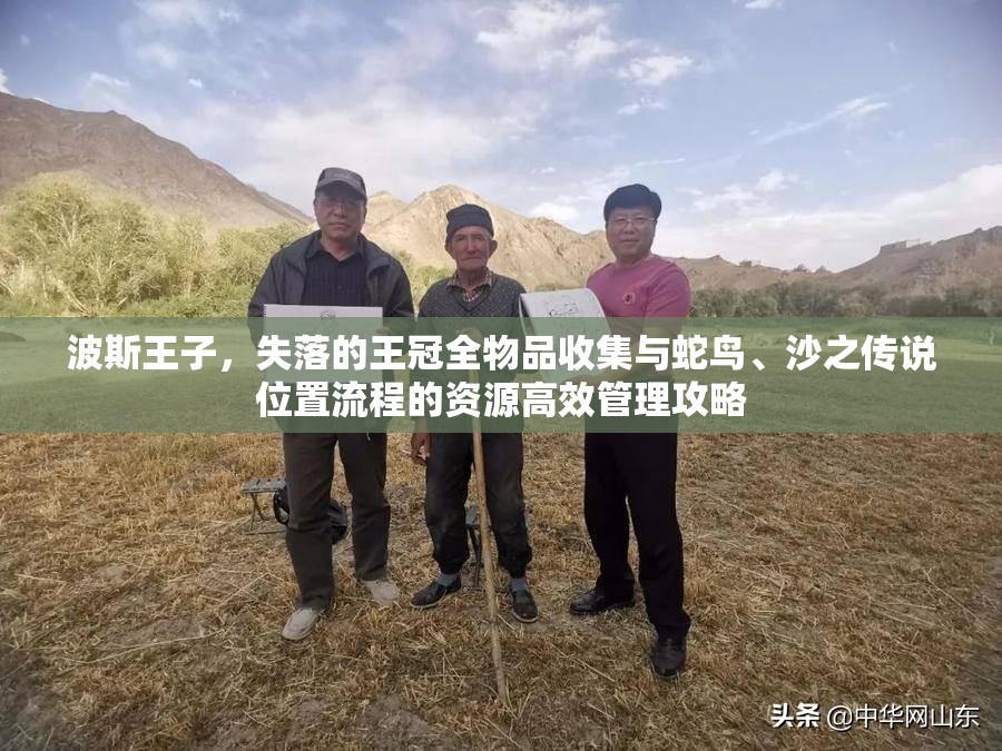 波斯王子，失落的王冠全物品收集与蛇鸟、沙之传说位置流程的资源高效管理攻略