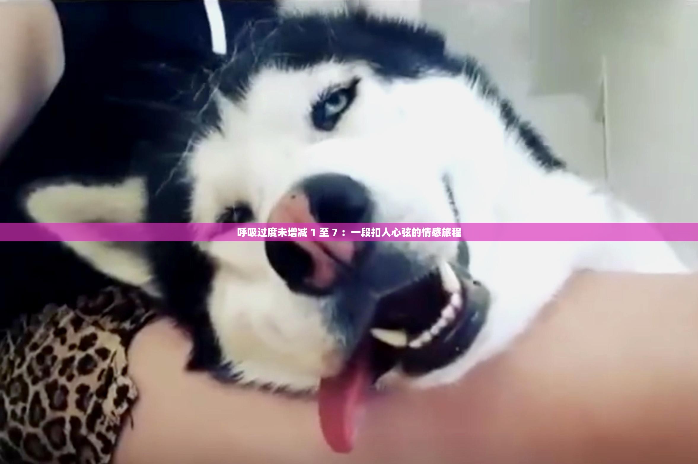呼吸过度未增减 1 至 7 ：一段扣人心弦的情感旅程