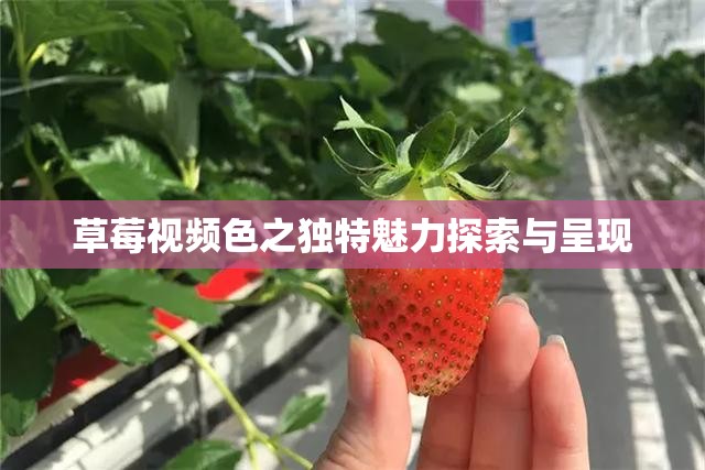 草莓视频色之独特魅力探索与呈现