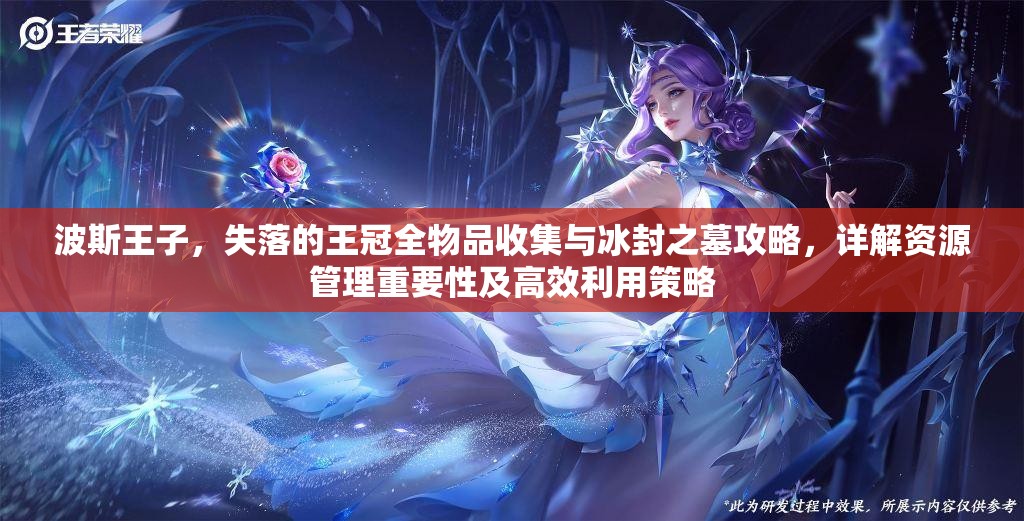 波斯王子，失落的王冠全物品收集与冰封之墓攻略，详解资源管理重要性及高效利用策略