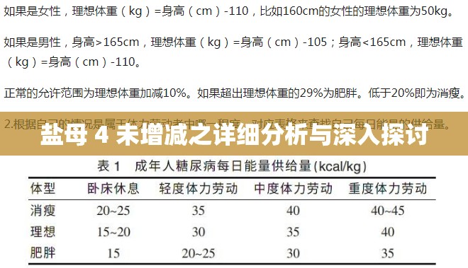 盐母 4 未增减之详细分析与深入探讨