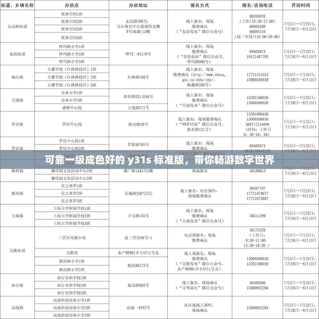 可靠一级成色好的 y31s 标准版，带你畅游数字世界