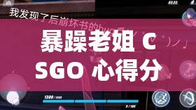 暴躁老姐 CSGO 心得分享：游戏技巧与经验大揭秘