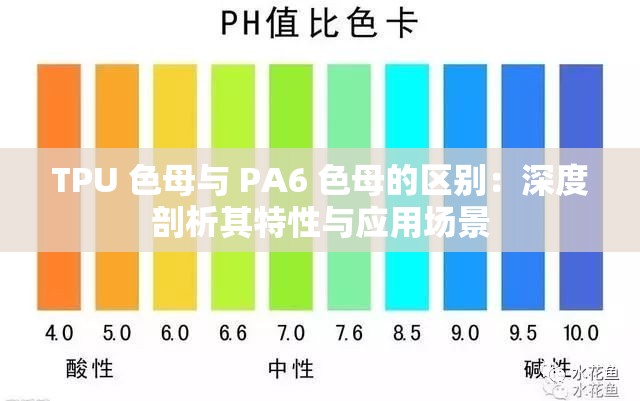 TPU 色母与 PA6 色母的区别：深度剖析其特性与应用场景