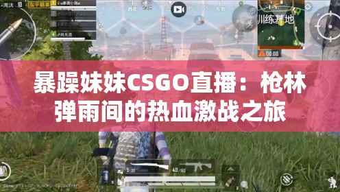 暴躁妹妹CSGO直播：枪林弹雨间的热血激战之旅