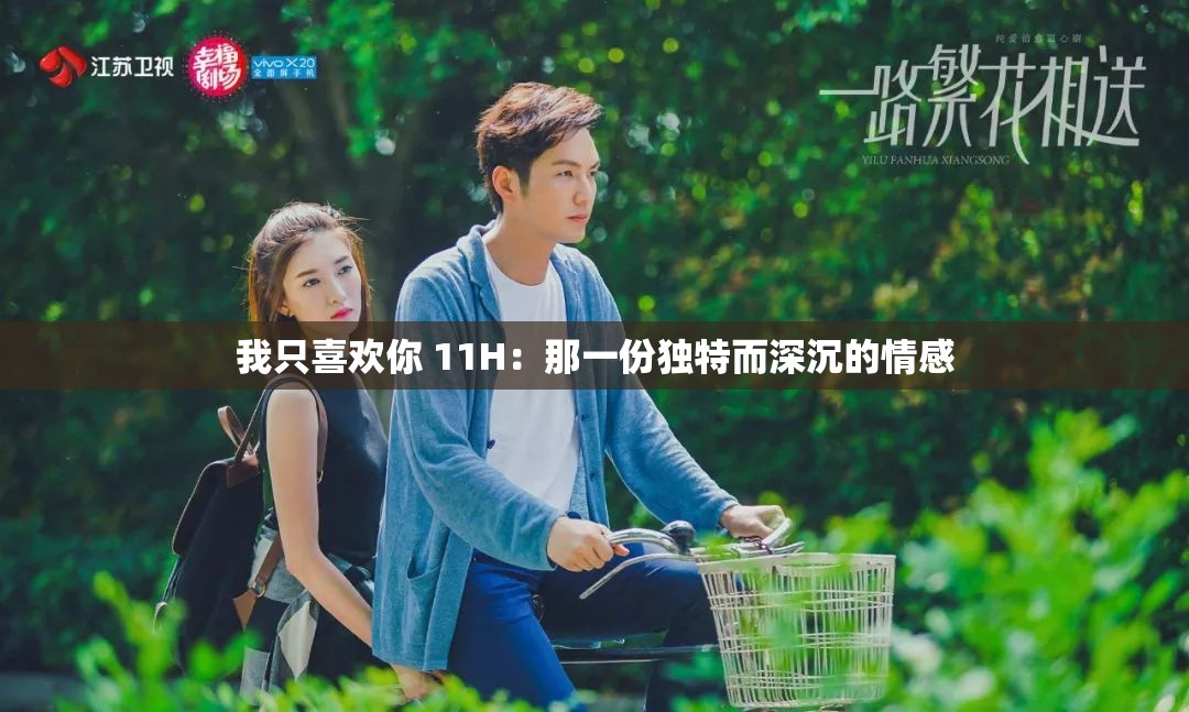我只喜欢你 11H：那一份独特而深沉的情感