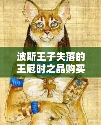 波斯王子失落的王冠时之晶购买护符攻略，兵匠处护符全解析