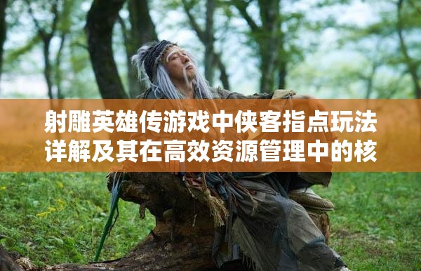 射雕英雄传游戏中侠客指点玩法详解及其在高效资源管理中的核心作用