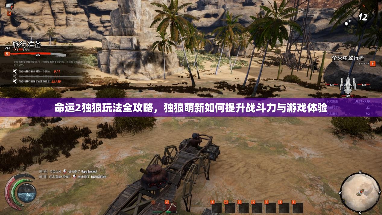 命运2独狼玩法全攻略，独狼萌新如何提升战斗力与游戏体验