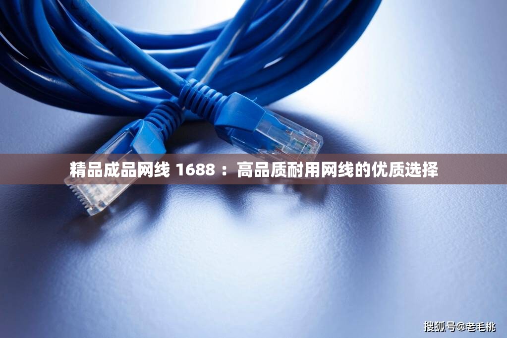 精品成品网线 1688 ：高品质耐用网线的优质选择