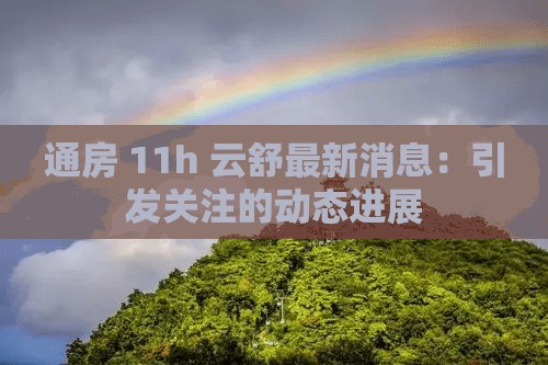 通房 11h 云舒最新消息：引发关注的动态进展